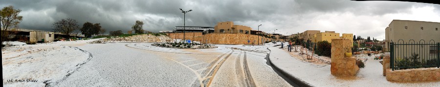 אודי