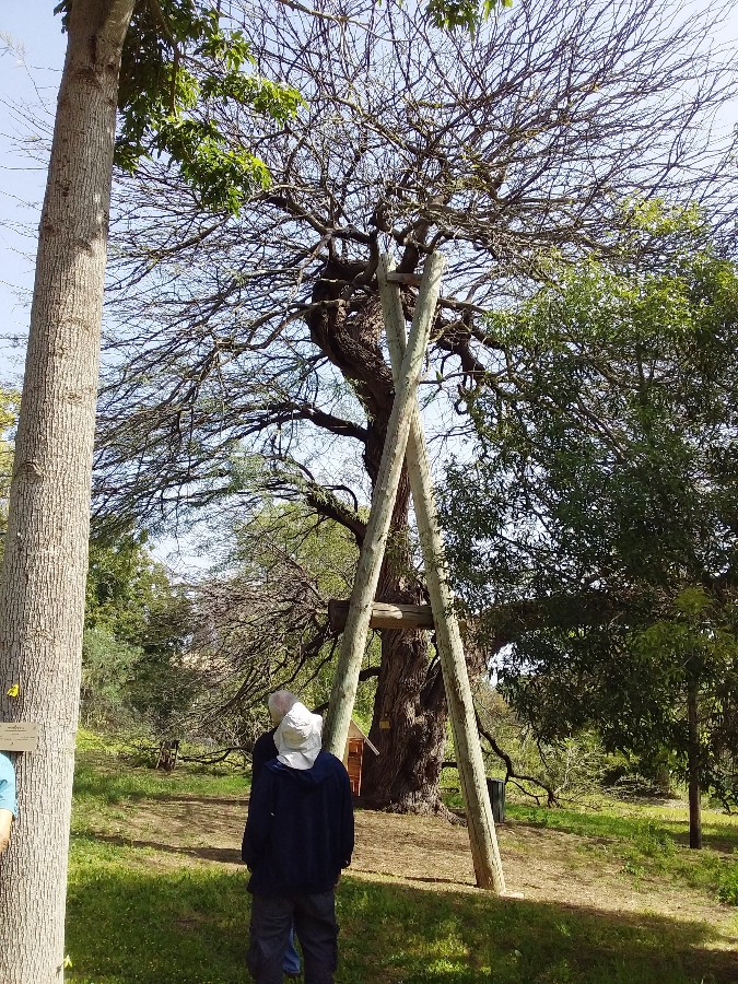 טיול ותיקים לשרון 20.3.18