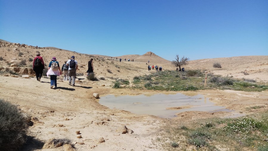 טיול ותיקים לבארות לוץ בדרום מרץ 2019